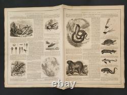 1864 antique JOHNSON'S NEW JERSEY DELAWARE & MARYLAND hand-colored atlas MAP