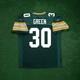 Ahman Green Reebok Green Bay Packers Nfl Authentic On-field Eqt Home Jersey