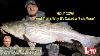 April 6 2023 New Jersey Delaware Bay Fishing Report With Jim Hutchinson Jr