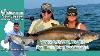 August 1st 2024 New Jersey Delaware Bay Fishing Report With Jim Hutchinson Jr