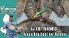 August 20th 2026 New Jersey Delaware Bay Fishing Report With Jim Hutchinson Jr