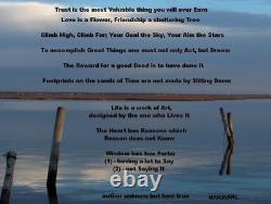 Backyard Photo a Bird almost on piling across the Bay from Long Beach Island NJ