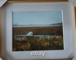 Backyard Photo a Bird almost on piling across the Bay from Long Beach Island NJ