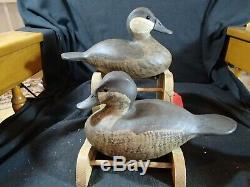 Barnegat Bay style Ruddy Duck pair of decoys Steve Morey Tuckerton New Jersey