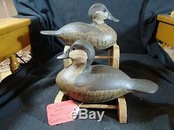Barnegat Bay style Ruddy Duck pair of decoys Steve Morey Tuckerton New Jersey