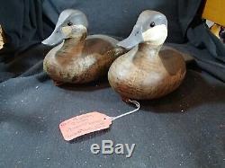 Barnegat Bay style Ruddy Duck pair of decoys Steve Morey Tuckerton New Jersey