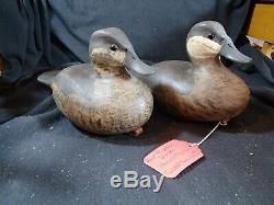 Barnegat Bay style Ruddy Duck pair of decoys Steve Morey Tuckerton New Jersey