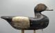 Ca 1890 Barnegat Bay, Nj Bluebill Drake Antique Duck Decoy Early Paint