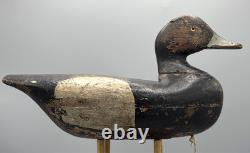 Ca 1890 Barnegat Bay, Nj Bluebill Drake Antique Duck Decoy Early Paint