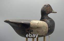 Ca 1890 Barnegat Bay, Nj Bluebill Drake Antique Duck Decoy Early Paint