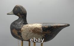 Ca 1890 Barnegat Bay, Nj Bluebill Drake Antique Duck Decoy Early Paint