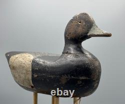 Ca 1890 Barnegat Bay, Nj Bluebill Drake Antique Duck Decoy Early Paint