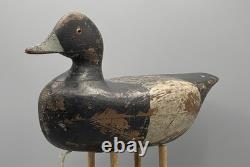 Ca 1890 Barnegat Bay, Nj Bluebill Drake Antique Duck Decoy Early Paint