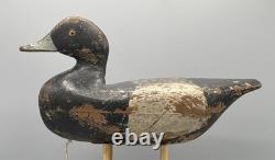 Ca 1890 Barnegat Bay, Nj Bluebill Drake Antique Duck Decoy Early Paint