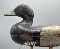 Ca 1890 Barnegat Bay, Nj Bluebill Drake Antique Duck Decoy Early Paint