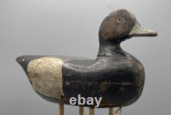 Ca 1890 Barnegat Bay, Nj Bluebill Drake Antique Duck Decoy Early Paint