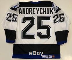Dave Andreychuk 2004 Tampa Bay Lightning Stanley Cup CCM Authentic Jersey 48 New