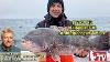 February 10 2022 New Jersey Delaware Bay Fishing Report With Jim Hutchinson Jr