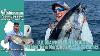 February 19th 2026 New Jersey Delaware Bay Fishing Report With Jim Hutchinson Jr