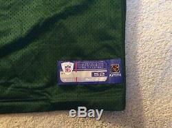 Gabe Wilkins Reebok Super Bowl XXXI Green Bay Packers Anniversary Jersey Size 52