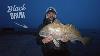 How To Catch Black Drum In New Jersey Right Now