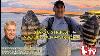 July 1 2021 New Jersey Delaware Bay Fishing Report With Jim Hutchinson Jr
