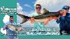 July 17th 2025 New Jersey Delaware Bay Fishing Report With Jim Hutchinson Jr