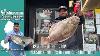 June 25th 2026 New Jersey Delaware Bay Fishing Report With Jim Hutchinson Jr