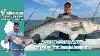 June 27th 2024 New Jersey Delaware Bay Fishing Report With Jim Hutchinson Jr