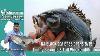 May 14th 2026 New Jersey Delaware Bay Fishing Report With Jim Hutchinson Jr