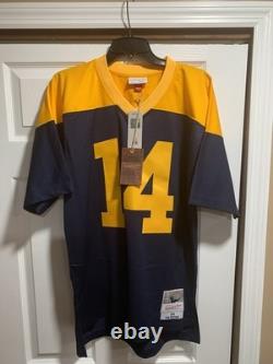 Mitchell & Ness Green Bay Packers Don Hutson Navy Gold 1944 NFL Legacy Jersey M
