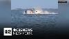 New Jersey Boat Captain Who Saw Whale Strike Describes Freak Accident