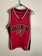 New Tampa Bay Buccaneers Nfl Gruden Jersey L Red & Black
