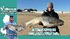 November 20th 2025 New Jersey Delaware Bay Fishing Report With Jim Hutchinson Jr