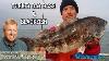 November 21 New Jersey Delaware Bay Fishing Report With Jim Hutchinson Jr