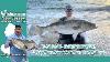 October 3rd 2024 New Jersey Delaware Bay Fishing Report With Jim Hutchinson Jr