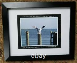 Photograph Bird Landing on piling across the Bay from Long Beach Island NJ
