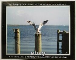 Photograph Bird Landing on piling across the Bay from Long Beach Island NJ
