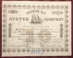 Pocomoke Bay Oyster Co NJ / MD VA connections 1886 stock certificate not tin can