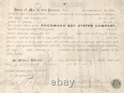 Pocomoke Bay Oyster Co NJ / MD VA connections 1886 stock certificate not tin can