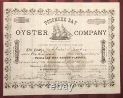Pocomoke Bay Oyster Co NJ / MD VA connections 1886 stock certificate not tin can