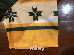 Rare Aaron Rodgers Green Bay Packers Jersey Hawaii Pro Bowl Nike NFL Nola