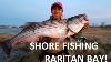 Raritan Bay Stripers How To Catch Stripers With Bait