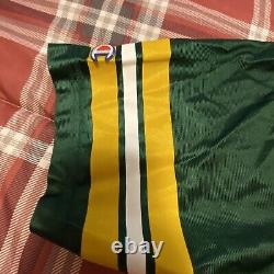 Ray Nitschke Autographed Signed Champions Jersey JSA LOA Green Bay Packers NWT