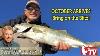 September 30 2021 New Jersey Delaware Bay Fishing Report With Jim Hutchinson Jr