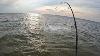 Shallow Water Giants Wade Fishing Backbay Flats