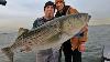 Striper Fishing In A Barrel What To Look For And How We Approach It