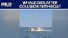 Whale Dies After Colliding With Boat Off Barnegat Bay New Jersey