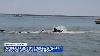 Whale Dies After Nearly Capsizing Boat Off New Jersey S Barnegat Bay