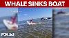Whale Sinks Nj Fire Department Boat
